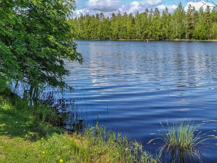 Mäntyrinne in Kangasniemi, Südsavo