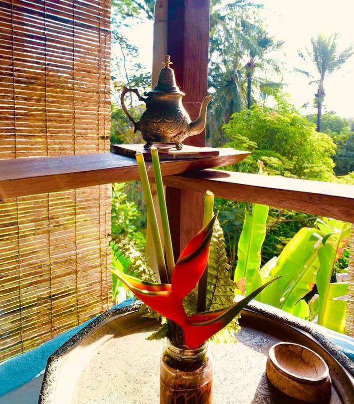 Maison d’hôte pour 2 personnes, avec vue et jardin, animaux acceptés dans Ilha de Boipeba - 2