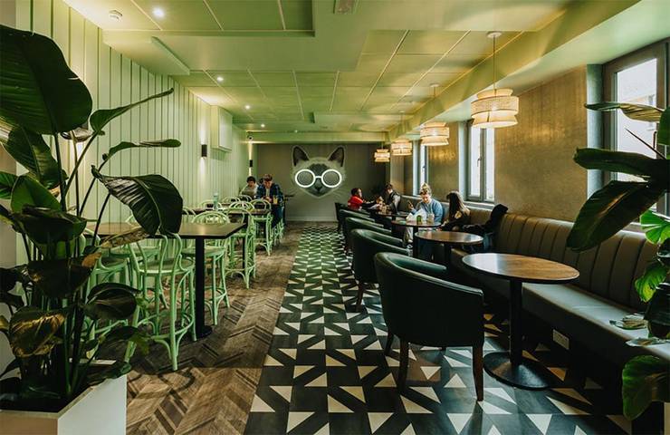 Location de vacances pour 4 personnes à Galway - 4