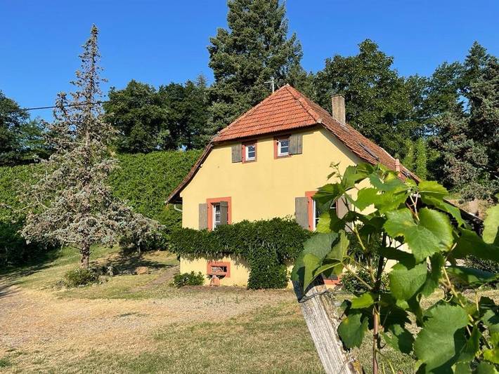 Location de vacances pour 6 personnes, avec vue et jardin à Durbach - 4