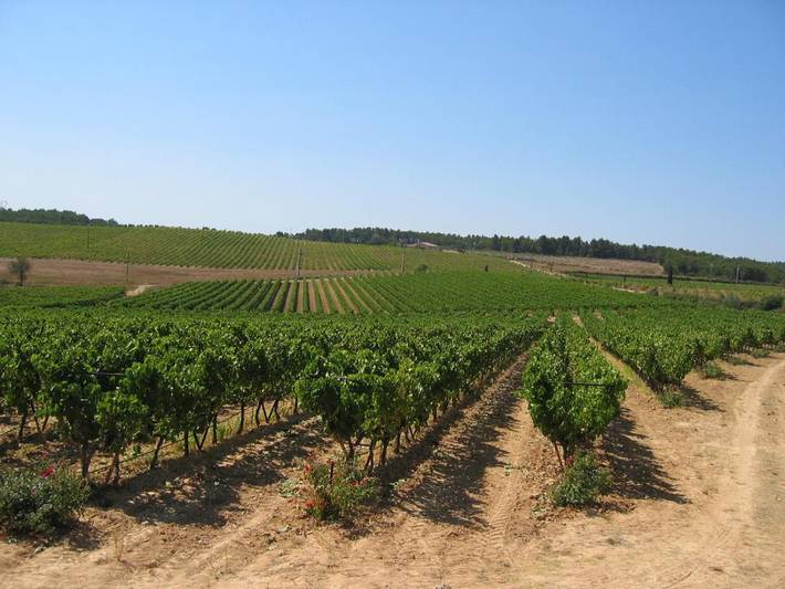 Chambre d’hôte pour 3 personnes, avec piscine ainsi que jardin et vue à Pertuis - 4