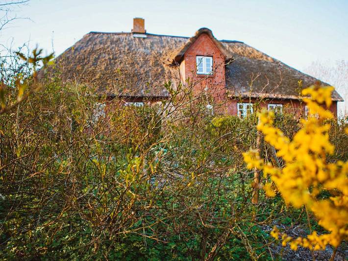 Ferienwohnung für 5 Personen, mit Terrasse und Garten sowie Ausblick in Pellworm - 4