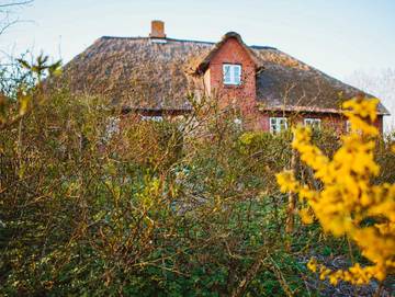 Ferienwohnung für 5 Personen in Pellworm, Nordseeinseln, Bild 1