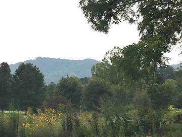 Log Cabin for 6 Guests in Blue Ridge Mountains, North Carolina, Picture 3
