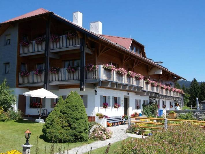 Ferienhaus für 6 Personen, mit Balkon, kinderfreundlich in Neureichenau
