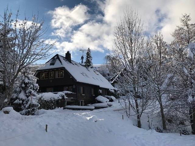 Gîte pour 3 personnes, avec Balcon à Hinterzarten - 4