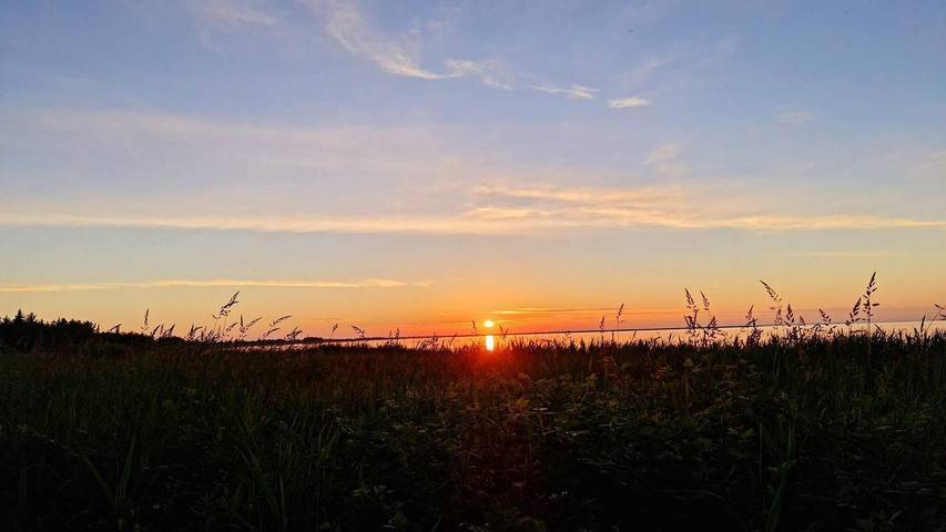 Ferienhaus für 5 Personen, mit Terrasse in Nørhede Vest - 4
