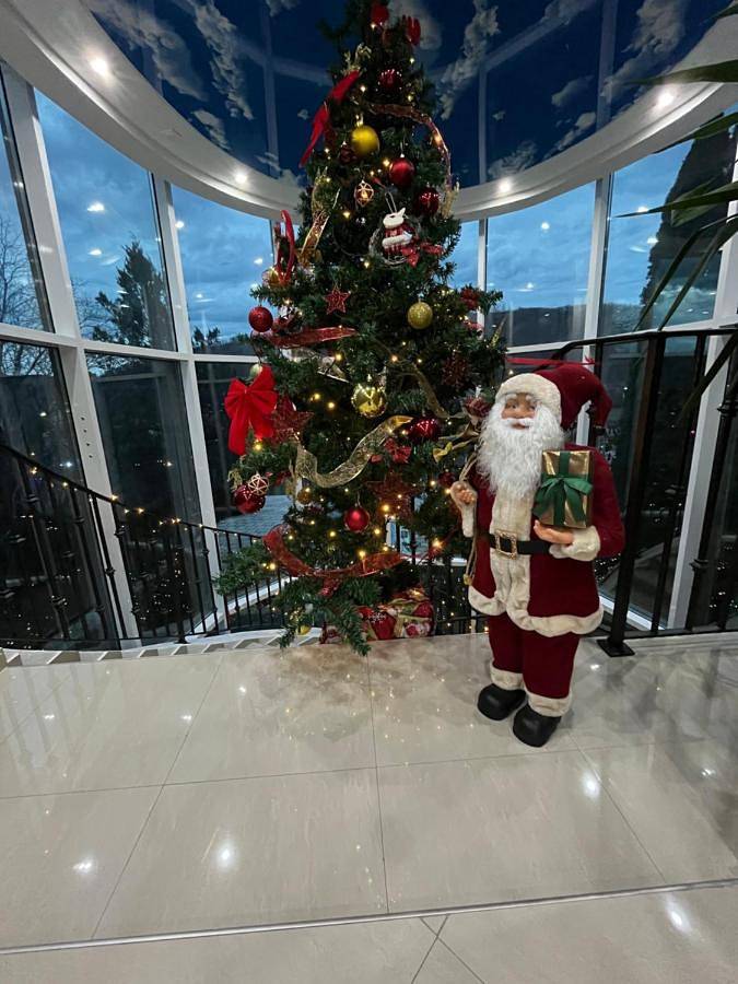 Station pour 4 personnes, avec vue et terrasse ainsi que jardin et piscine à Despotovac - 4
