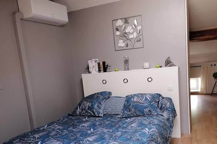 Location de vacances pour 6 personnes, avec jacuzzi à Castres - 2