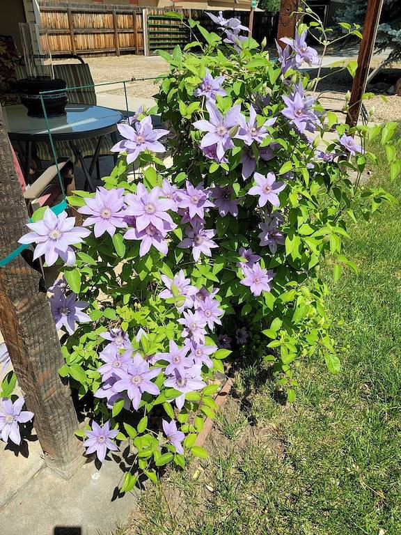 In the Heart of Longmont ~ 15 Minutes to Boulder, Colorado in Longmont, Boulder County