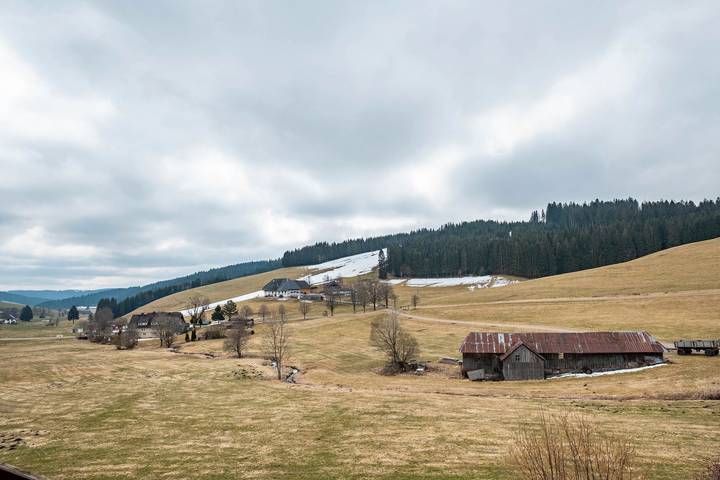 Ferienwohnung für 5 Personen, mit Garten in Titisee-Neustadt - 3
