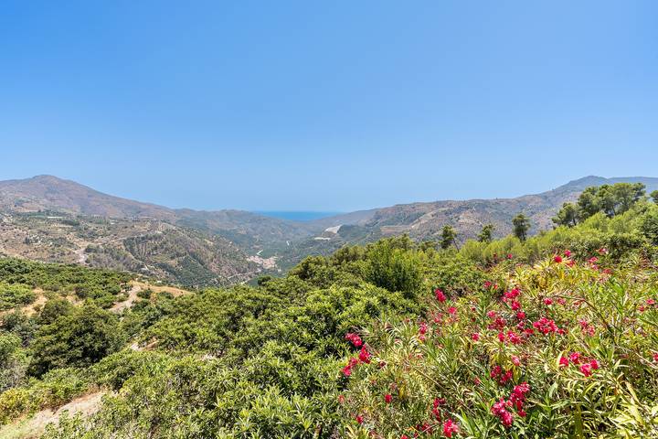 Casa de vacaciones para 6 personas, con jardín en Provincia de Granada - 4