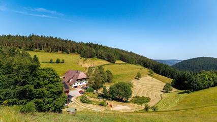 Vacation Apartment for 4 Guests in Hornberg, High Black Forest, Picture 1