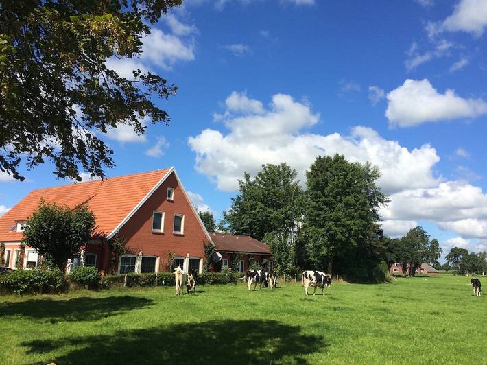 Ferienhaus für 10 Personen, mit Whirlpool und Terrasse sowie Garten und Sauna in Rhauderfehn
