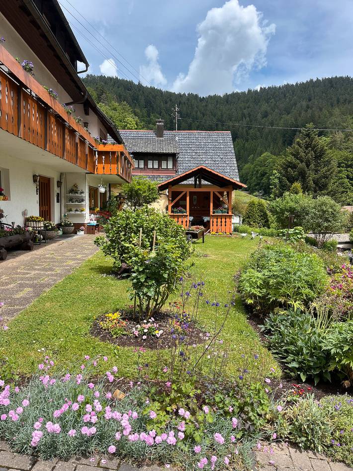 Ferienwohnung für 3 Personen, mit Balkon und Garten in Bad Rippoldsau-Schapbach - 4