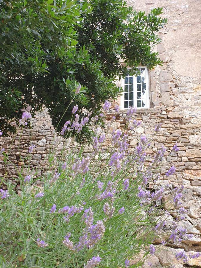 Maison de vacances pour 14 personnes, avec jardin, adapté aux familles à Canet