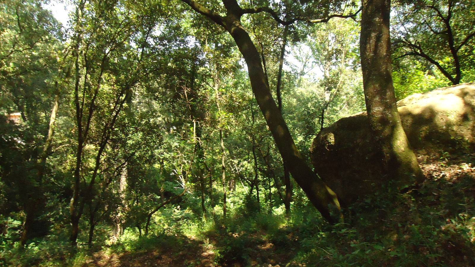 Casa rural 'Mas Campol' con vistas a la montaña, piscina privada y Wi-Fi in Cistella, Alt Empordà