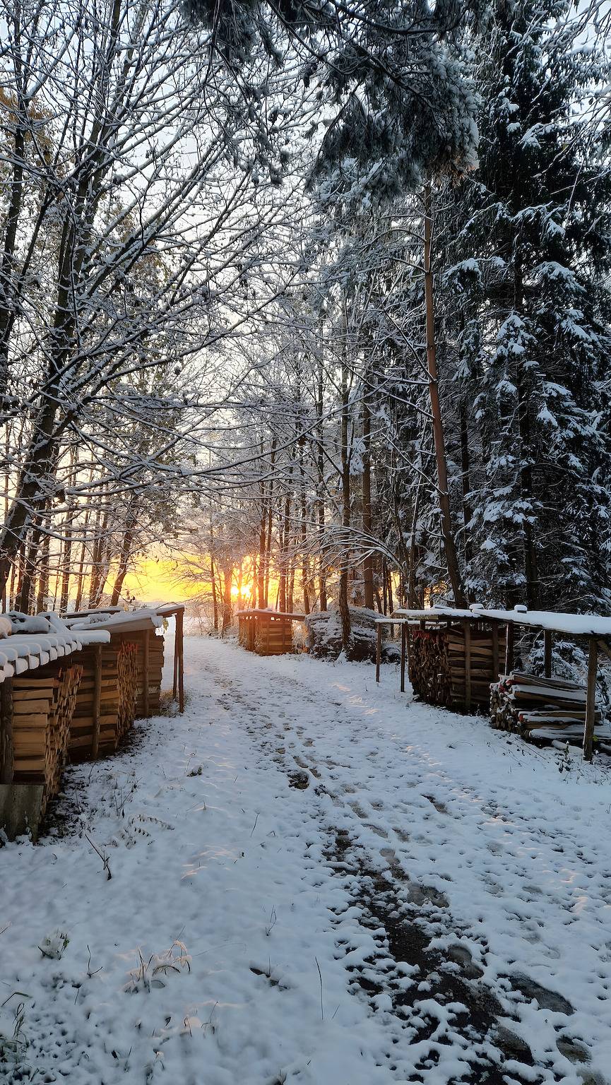 Chalet 'Vacation Rental' with Private Terrace, Wi-Fi and Air Conditioning in Freising, Upper Bavaria