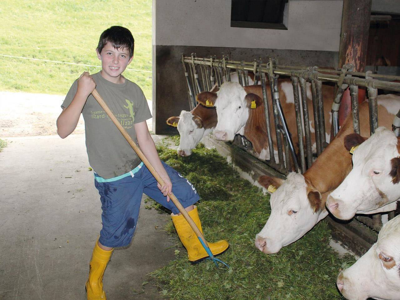 Ringlerhof - Dreibettzimmer"Romantikzimmer" in Michaelerberg-Pruggern, Schladming-Dachstein
