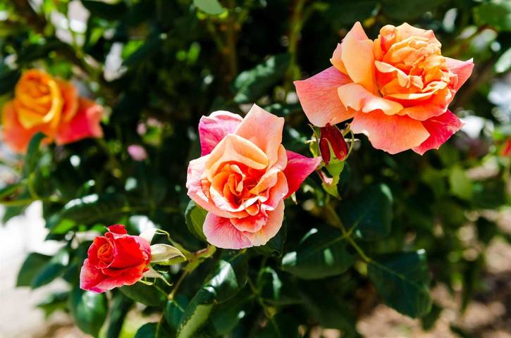 Studio pour 2 personnes - 1