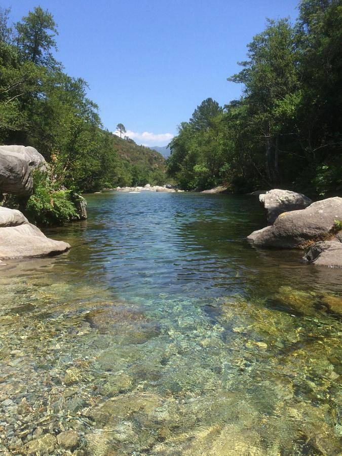 Gîte pour 5 personnes, avec balcon et vue, animaux acceptés à Vezzani - 3