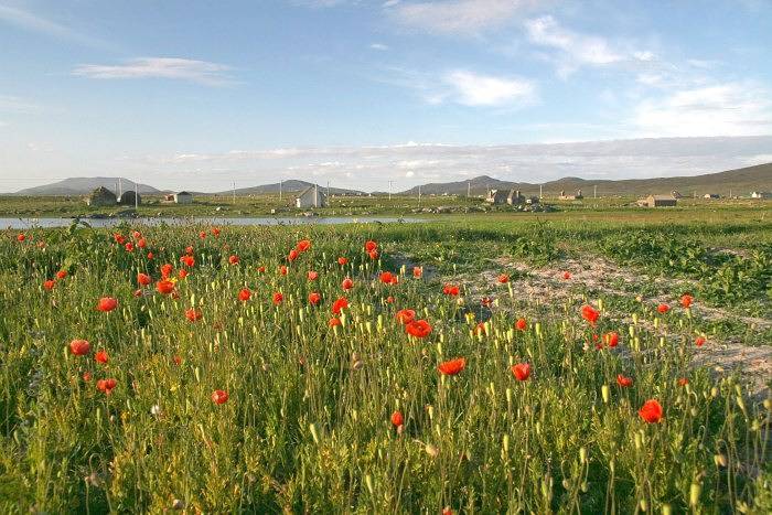 Ferienhaus für 2 Personen, mit Garten, mit Haustier in Schottland - 3