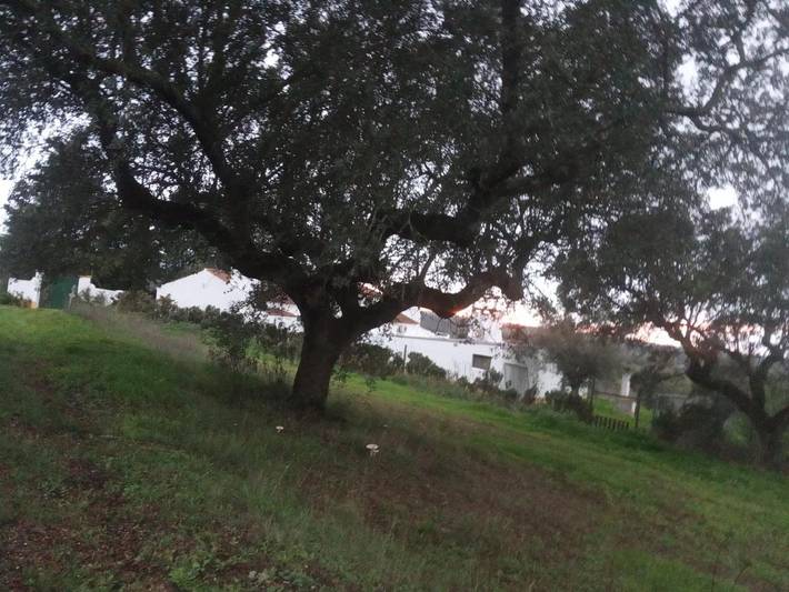 Location de vacances pour 7 personnes, avec jardin et piscine, animaux acceptés dans Avis - 3