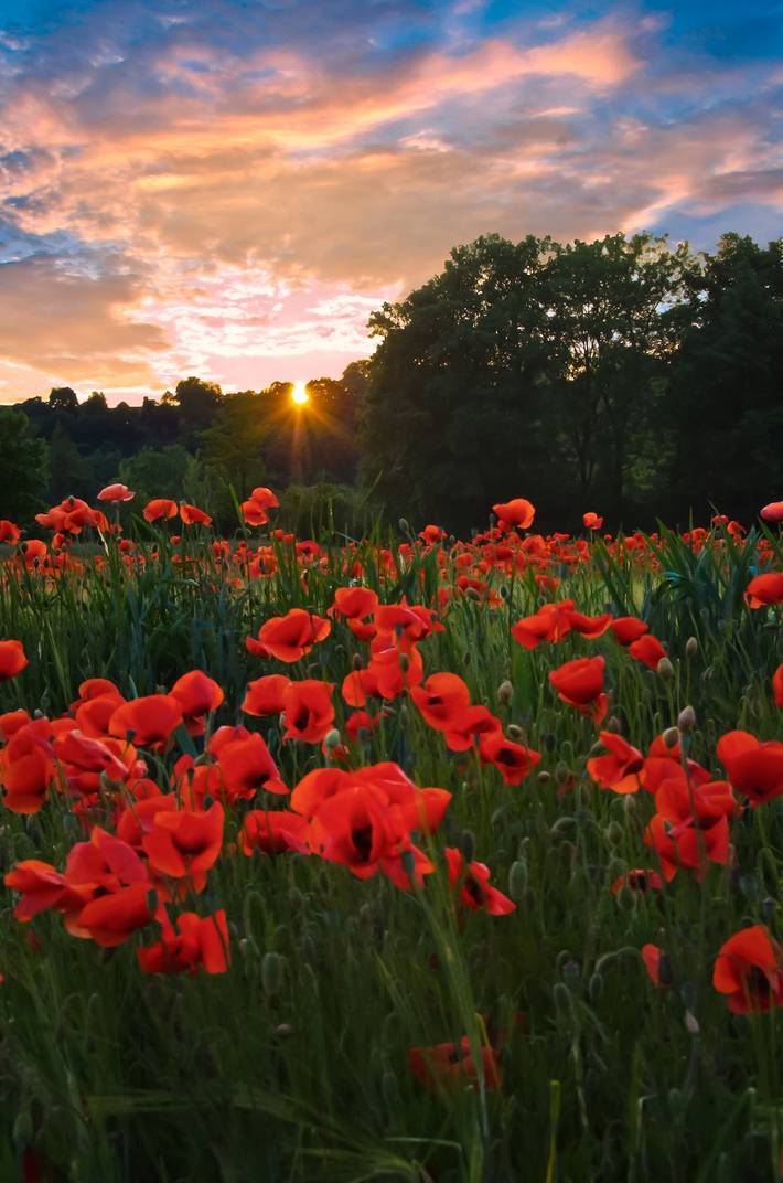 Location de vacances pour 4 personnes, avec balcon/terrasse et balcon à Regensburg - 4