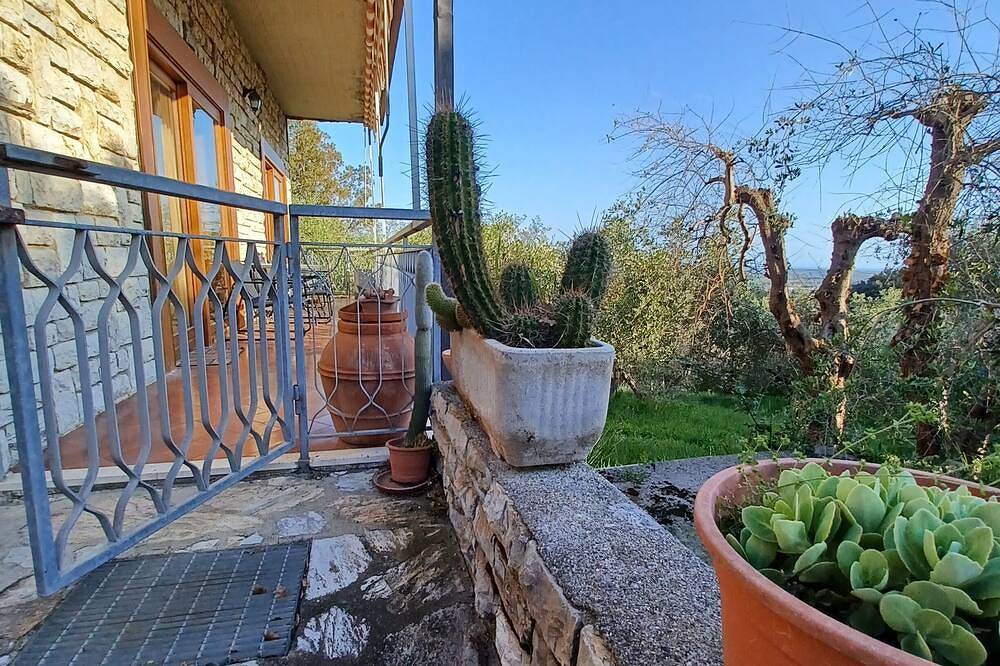 Appartamento intero, Verde Mare apartment con vista mare circondato da olivi secolari animali ammessi in Rosignano Marittimo, Costa degli Etruschi