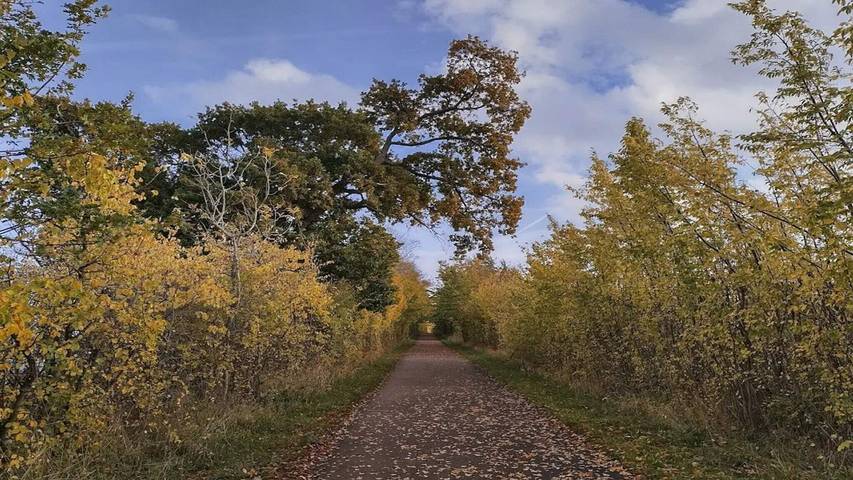 Ferienhaus für 4 Personen, mit Garten in Kerteminde - 2