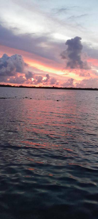 Gîte pour 2 personnes, avec terrasse dans Maupiti - 2