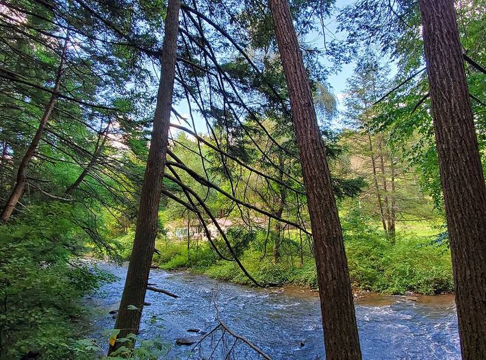 Vacation house for 12 people, with yard, with pets in Pennsylvania