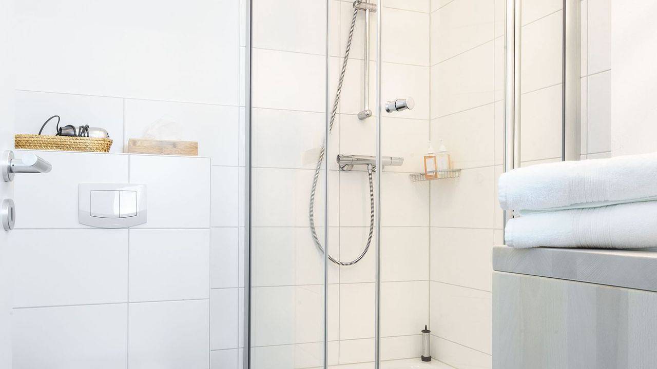 Ganze Ferienwohnung, Ferienwohnung für 2 Personen (55 m²) in Welt in Welt, Eiderstedt