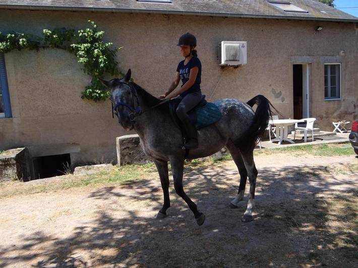 Maison de campagne pour 11 personnes, avec Jardin à Mhère