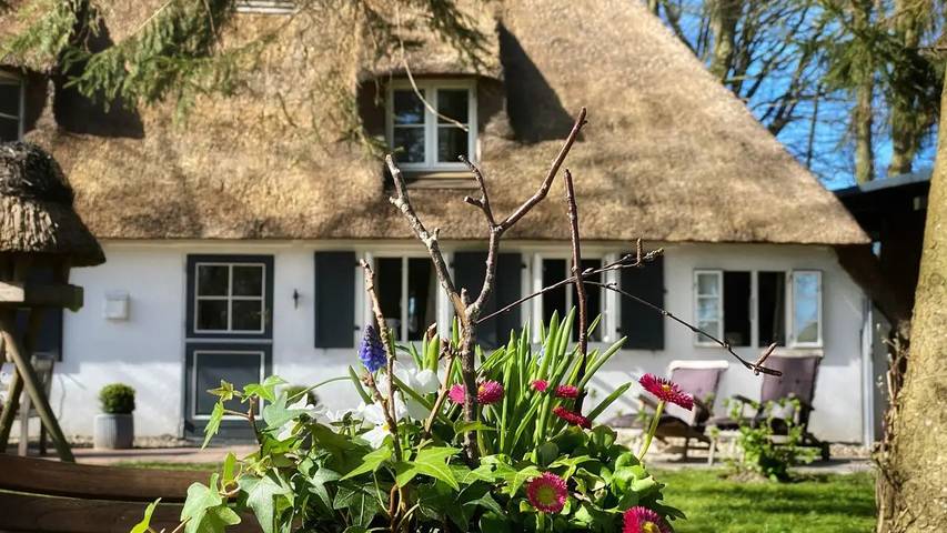 Ferienhaus für 4 Personen in Rabenkirchen-Faulück - 3