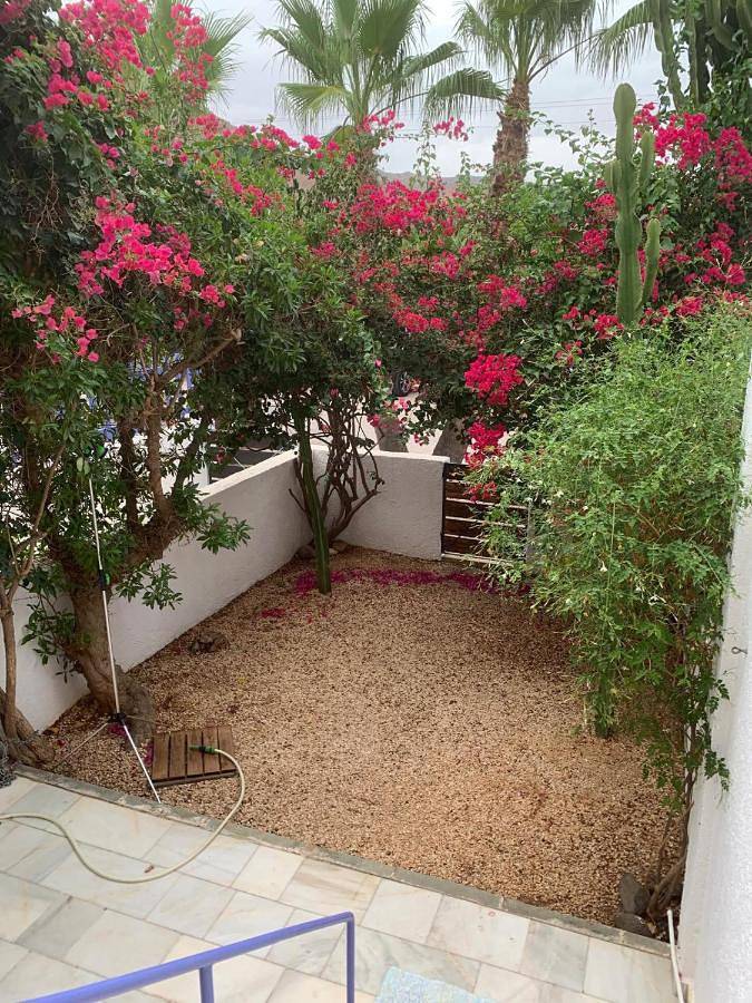 Location de vacances pour 5 personnes, avec jardin et vue dans El Campillo De Rodalquilar - 2