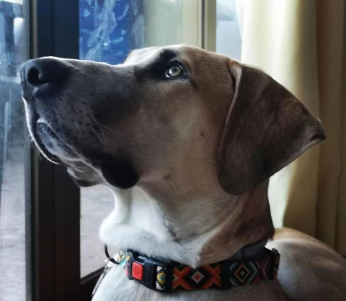 Location de vacances pour 2 personnes, avec vue ainsi que jardin et piscine, animaux acceptés à Llíber - 3