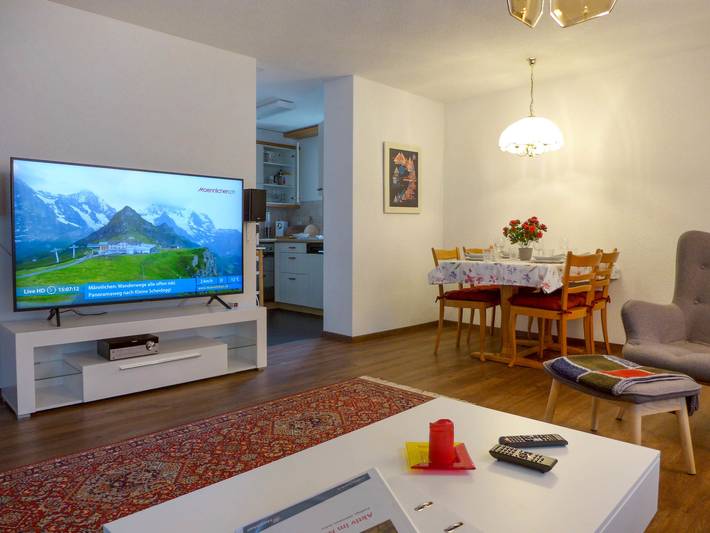 Gîte pour 4 personnes, avec vue ainsi que balcon et jardin, animaux acceptés à Meiringen - 3