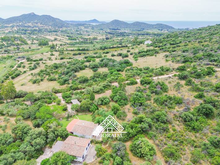 Villa pour 6 personnes, avec jardin ainsi que vue et terrasse, animaux acceptés à Villasimius - 3