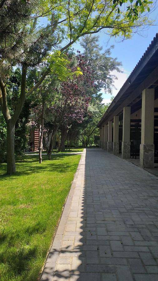 Maison d’hôte pour 2 personnes, avec jardin dans Vama Veche - 2