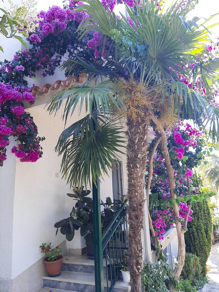 Ganze Wohnung, Apartment Marija in Podstrana, Split-Dalmatien