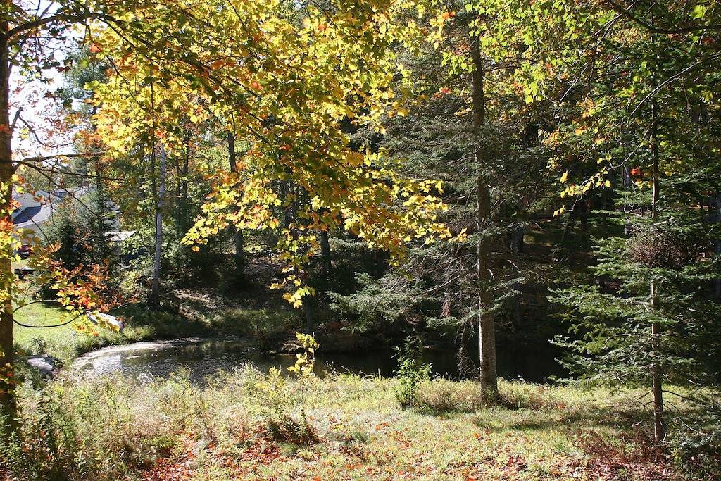 Pets Stay Free! 3 Modern Cottages, w/Heat & Ac, 1st flr King & Stand-up Loft in Lincoln County (Maine)