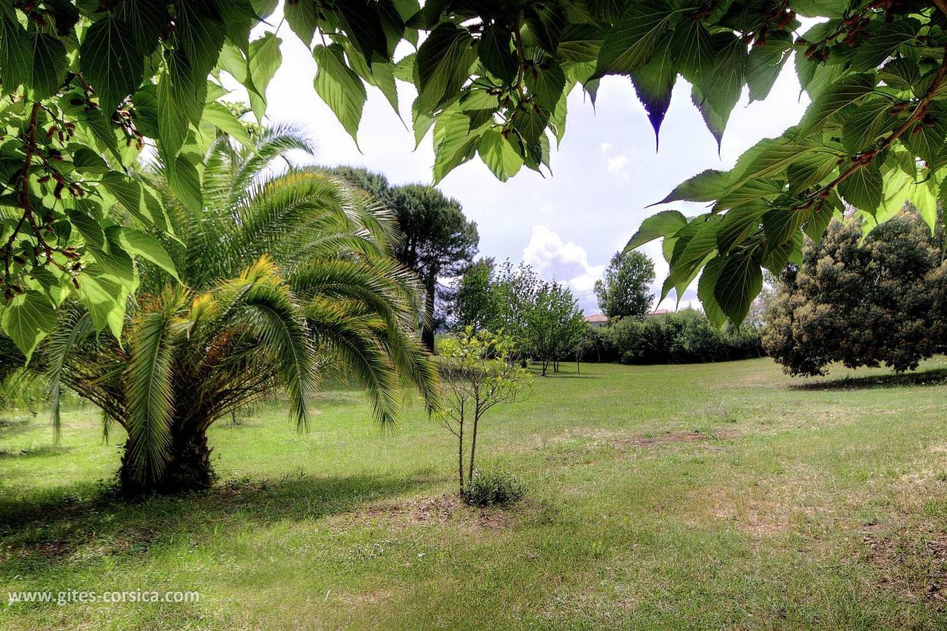 Casa Romani in Folelli, Penta-di-Casinca