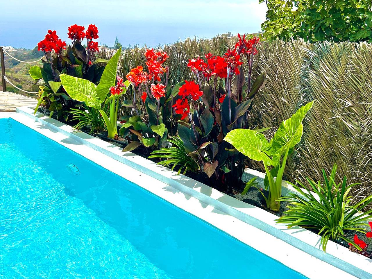 Villa de vacaciones 'Ocean Breeze' con vistas al mar, piscina privada y Wi-Fi in Firgas, Gran Canaria Norte