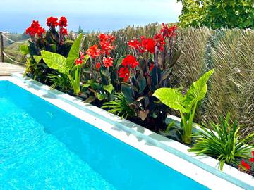 Finca für 4 Personen in Firgas, Gran Canaria Nord, Bild 4