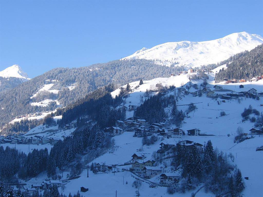 Geheel vakantieappartement, Apartment 4-6 Pers./3 bedrooms / 1 combined living-bed-room in Meer , Verwall 