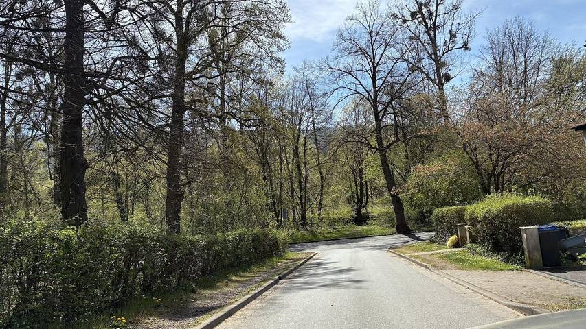 Ferienwohnung für 3 Personen, mit Balkon in Bad Pyrmont - 2