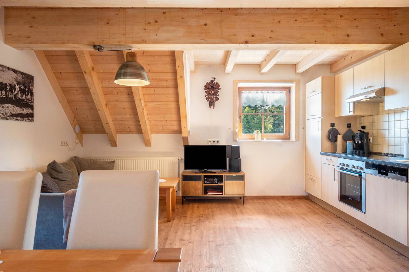 Ganze Wohnung, Ferienwohnung 'Panoramablick, 85qm' mit Gemeinschaftsterrasse, Gemeinschaftsgarten und Wi-Fi in Schonach, Südschwarzwald