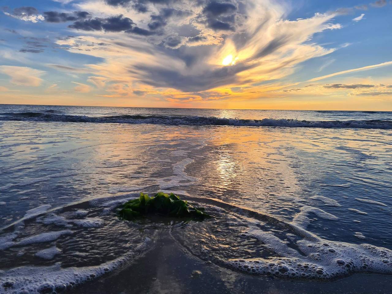 Luxurioses Refugium mit Pool -- By Traum Ferienwohnungen in Toftum, Rømø