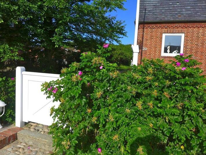 Ferienhaus für 6 Personen, mit Garten und Terrasse auf Sylt - 2